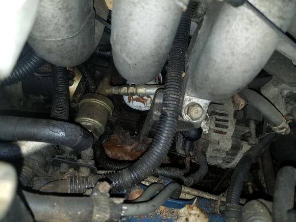 Oil pump for turbo?