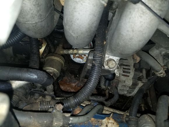 Oil pump for turbo?