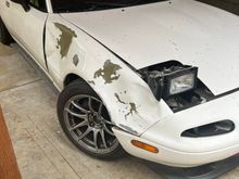 92 vrs deer