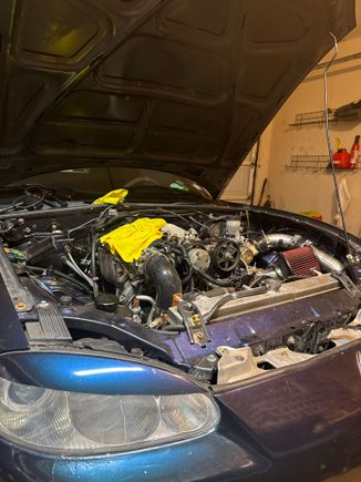 How shes going to sit for now. 
