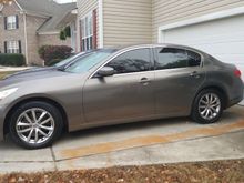 Sitting in the driveway after a much needed bath