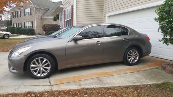 Sitting in the driveway after a much needed bath