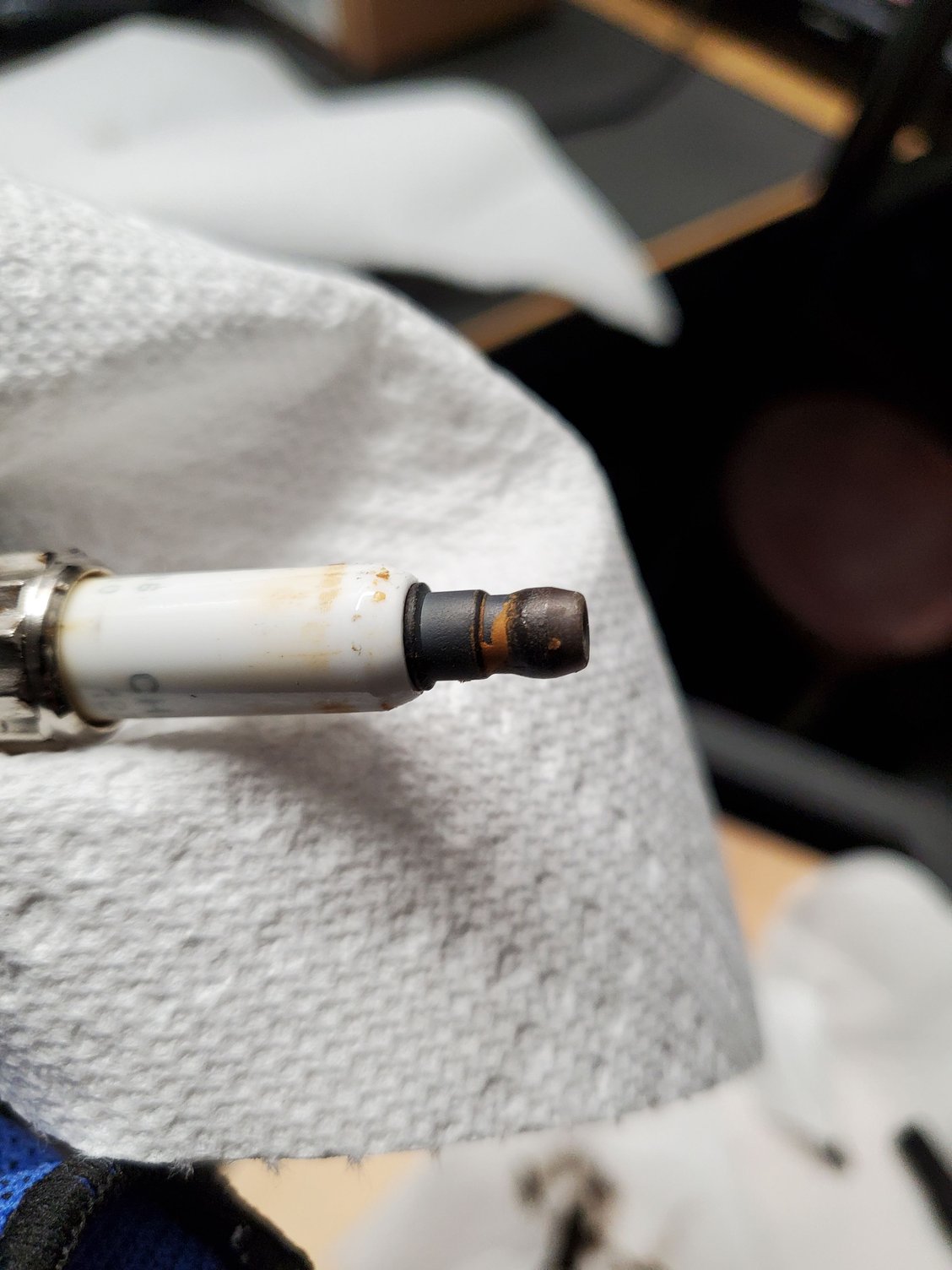 Oily Spark Plugs and Corrosion on Terminals North American Motoring