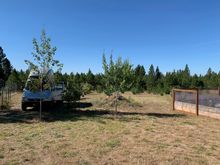 I was very impressed with how small turning radius of the MH and trailer combo; here at the other end of the site I need to do a back up once to turn around between the x'mas tree obstacles