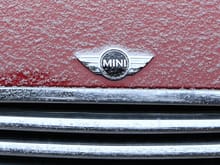 Mini Badge in Snow