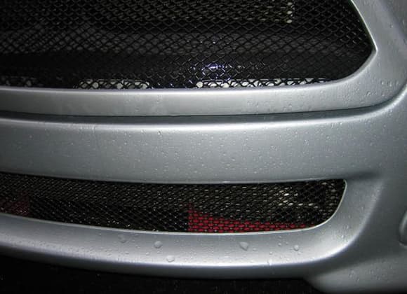 horn in grill close