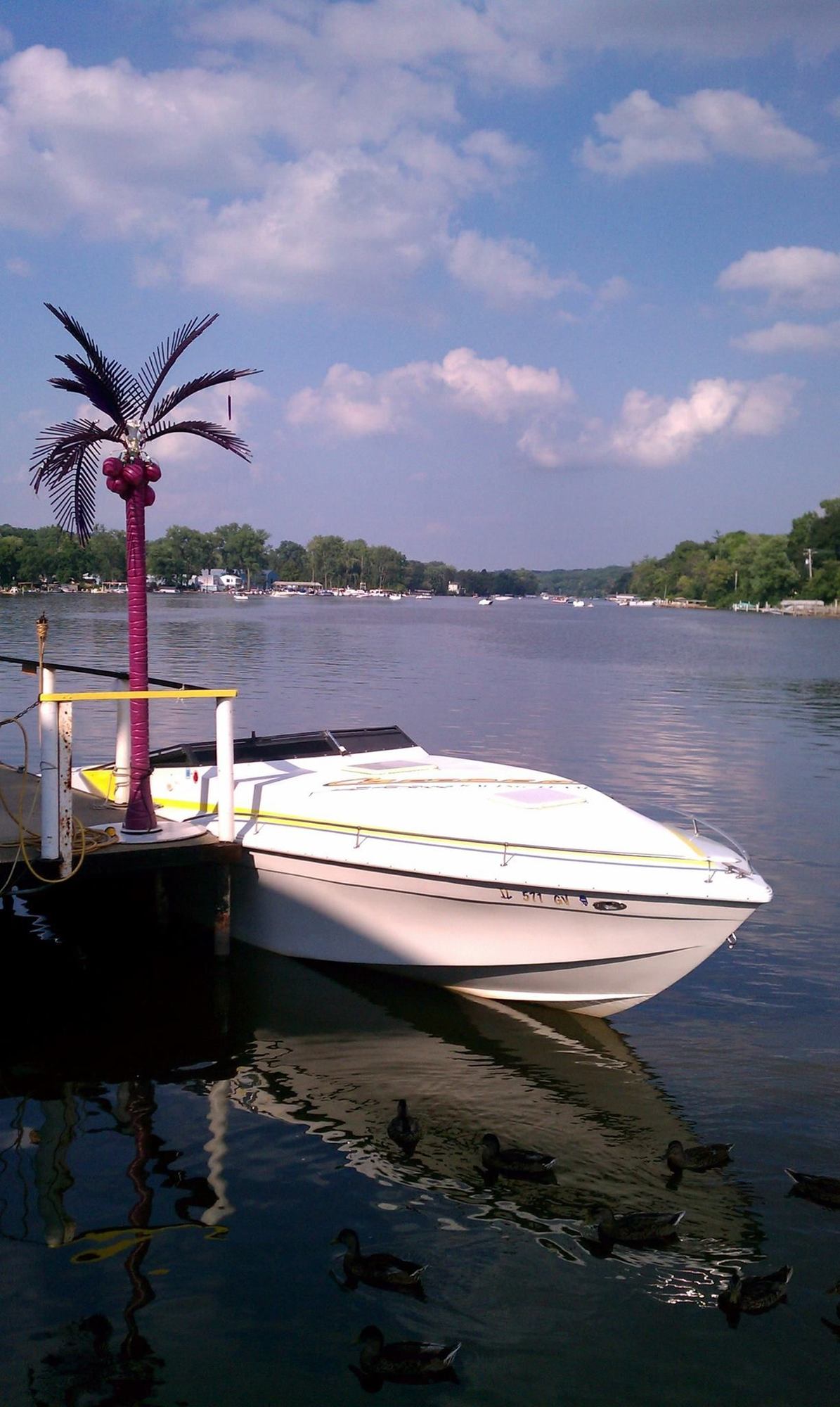 Craigslist Gold! Page 266