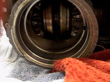 Upper with 1” of snout broke off