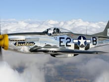 One more P-40 War Hawk