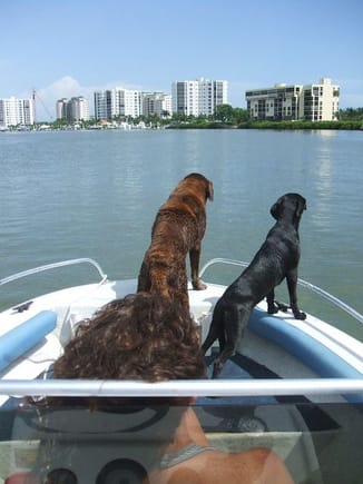 My kids keeping watch on the way into Ft Myers Beach.
Docked the boat behind a rental on a canal.
There for a week (many times) and one of our favorites.
Nirvana. 