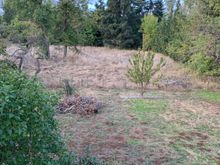 My property line ends at the far trees.