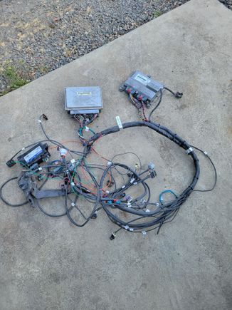 PCM, TCM, T-Bore/Pedal ecu and after market harness