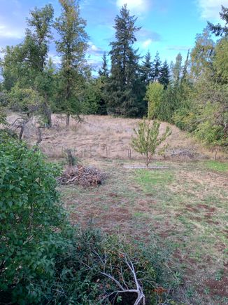 My property line ends at the far trees.
