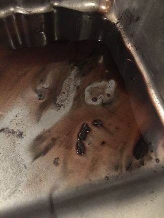 More carnage in the bottom of the pan....