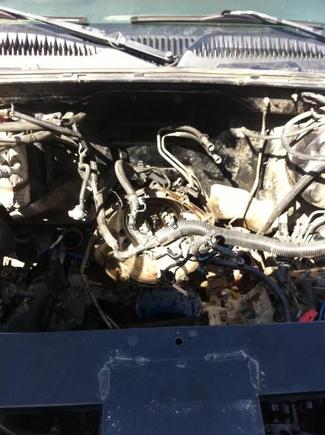 bye bye 5.3 hello 6.0