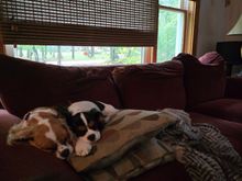Best friends. 