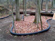 Taken from the top curve of what we call the "Upper section"