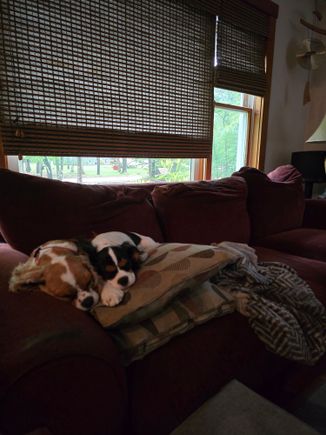 Best friends. 