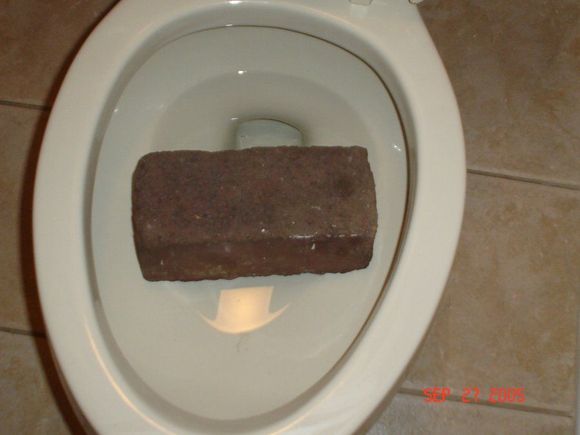 Shitting Bricks
