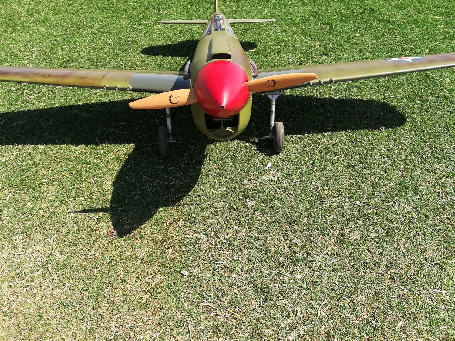 Yellow Aircraft P40 RC Airplane, DLE55, Servos, Retracts, & Extras