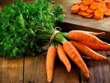 Untitled Album 2025-09-17 17:47:25