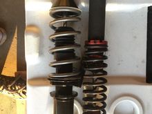 rear coilover comparison 
