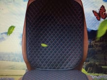 seat protector