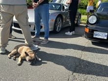Some of us were more impressed by the $1 million Porsche.