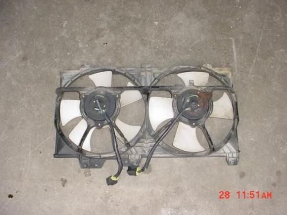 MVC 008S