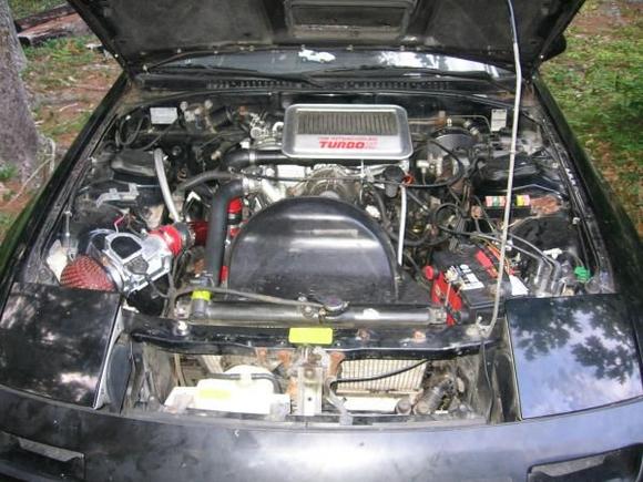 Beautiful Engine Bay