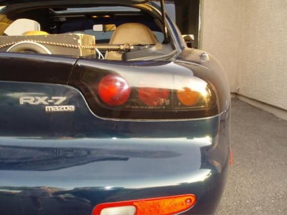 fd99spectail5