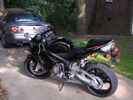 CBR 600 RR