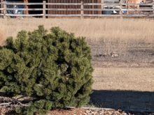 1-18-2026.  Zoomed in some...