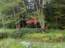 First signs of fall.