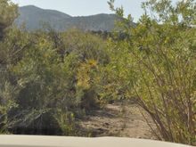 yes is part of the trail