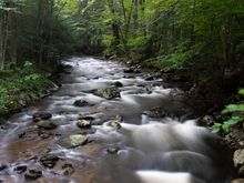 Whiting River near Campbell Falls