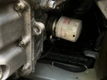 Looks like leaks from the oil filter lines as well as the vtec solenoid looks pretty wet.