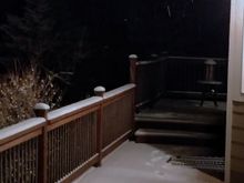 

I want to go to bed but both catssnuck out one I wanted to take a picture. I got the little one in but now the one that hates still go out in the snow is still out there.
