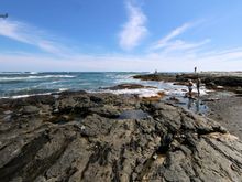 On Ocean Drive, Newport, RI