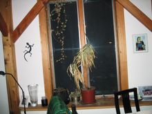 apt8.jpg