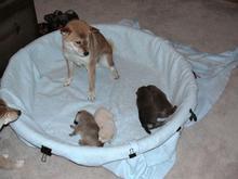DSC00086.jpg
