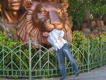 vegas4.jpg