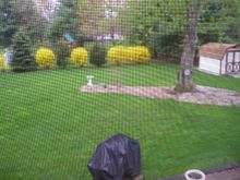 bedroom view.JPG