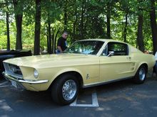 Mustang 4.jpg