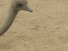 Zoo_5-30-04 017.jpg