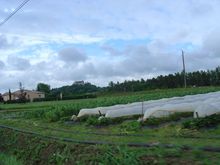 DSC00090.jpg