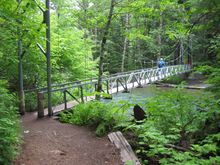 Suspension Bridge