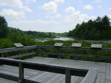 Dsc01607.jpg