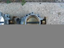 proflow 003.jpg