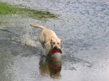 Maggie06-01.jpg